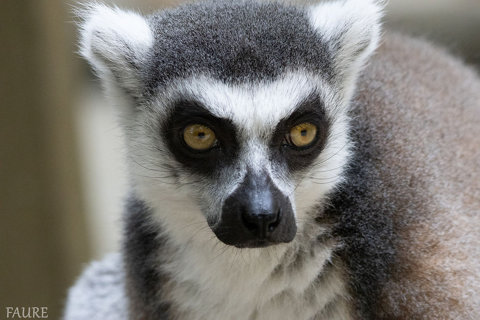 sans titre (31 sur 42)