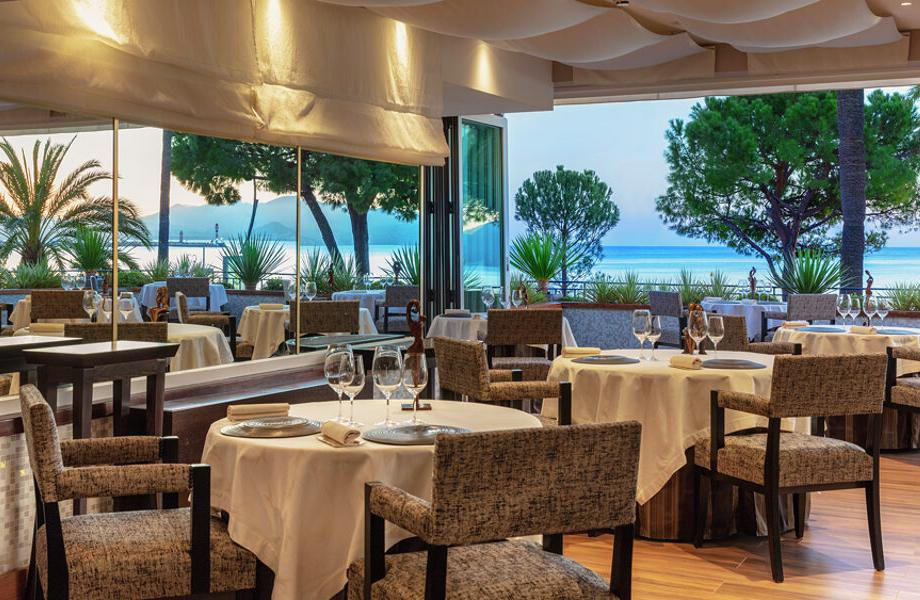 La Palme d'Or Cannes
