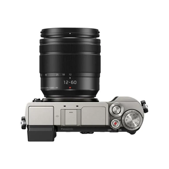 Miniature : PANASONIC GX9 Hybride
