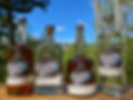 Bottle Image.jpg