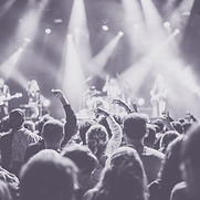 Concert Live Audience