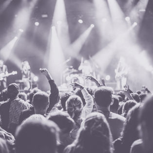 Live Concert Audience 