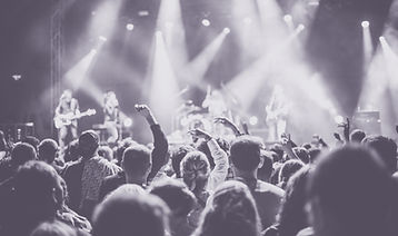 Concert Live Audience