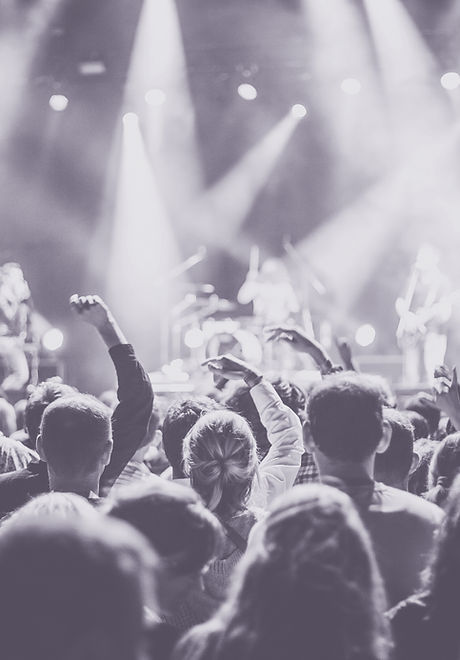 Concert Live Audience
