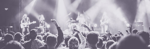 Concert Audience Vivo