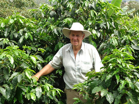 Carlos Fernández Morera