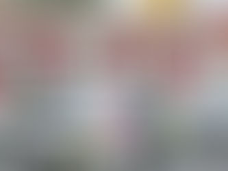 Fecha examen PL Benicasim