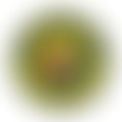 Convocatoria 8 plazas PL Jávea