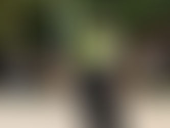 Bolsa empleo PL Torrent