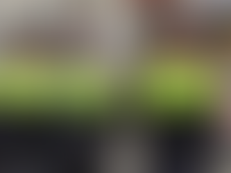 Fecha primer examen PL Cox