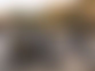 Lista definitiva PL Alicante