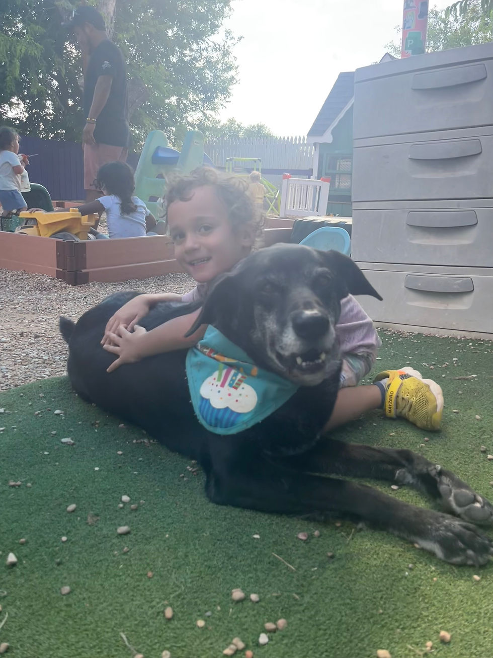 The People's Pup: Zeppelin!