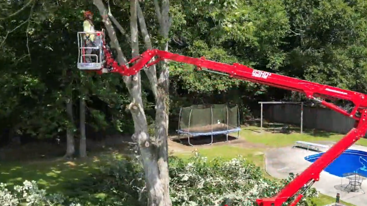 red cherry picker extended in tree with swimming pool in background