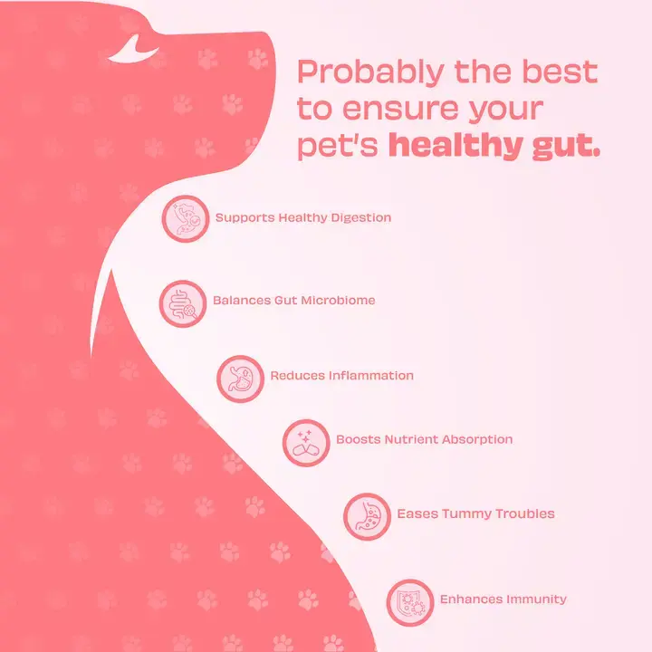 Miniature : Pawfect Gut Guard - santé intestinale (70 g)