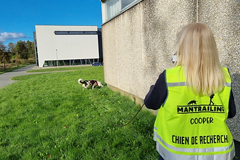 Design sans titre (4).png