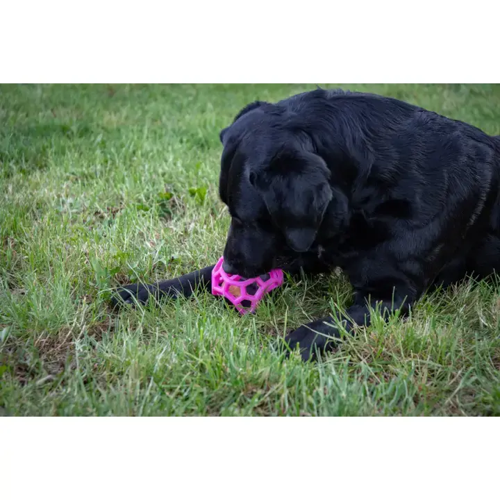 Miniature : Dog Comets Moonstone Squeaker