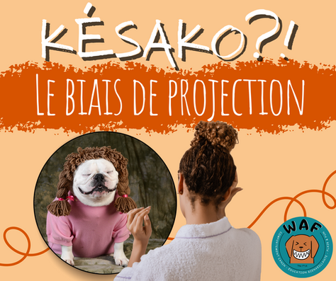 Le biais de projection : kézako?