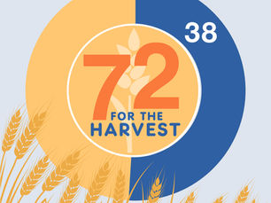 Update: 72 for the Harvest