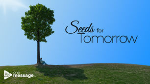Seeds for Tomorrow