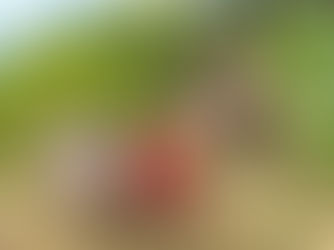 Reaching the Chamí people in Colombia 🇨🇴 🎥