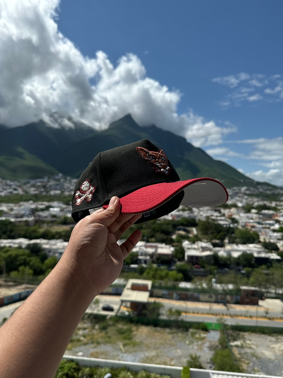 Miniatura: Negra con rojo, El Paso Chihuahuas parche de huesos