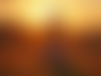 Transform Your Health: Insights from Former Mrs United States Brea Sharron Estep