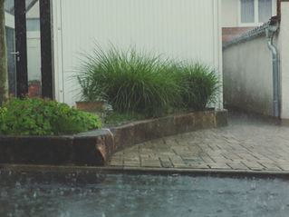 What Happens If It Rains on Listing Photo Day? The Weather Contingency Guide for Maple Ridge and Pitt Meadows Realtors in 2026