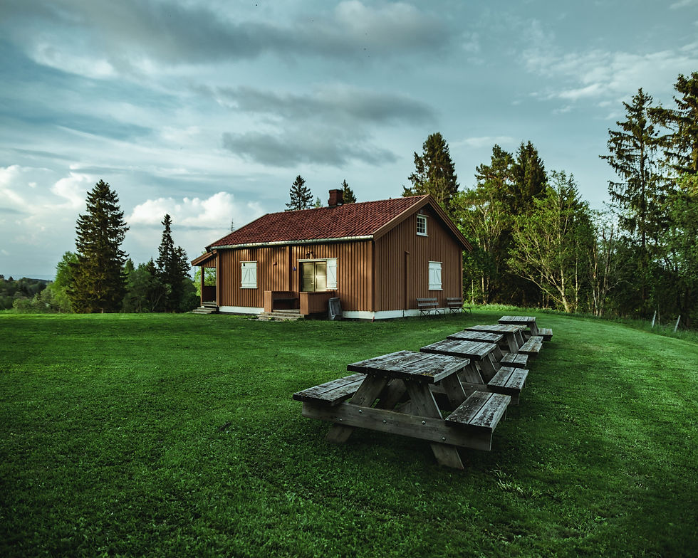Rural cottage property framed by evergreens near the Niagara Escarpment in Grey County Ontario, showing the kind of acreage listing that requires aerial drone photography to convey lot size