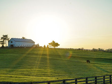 Real Estate Photography for Equestrian and Hobby Farm Properties: The Complete Guide for Caledon and King Township Realtors in 2026
