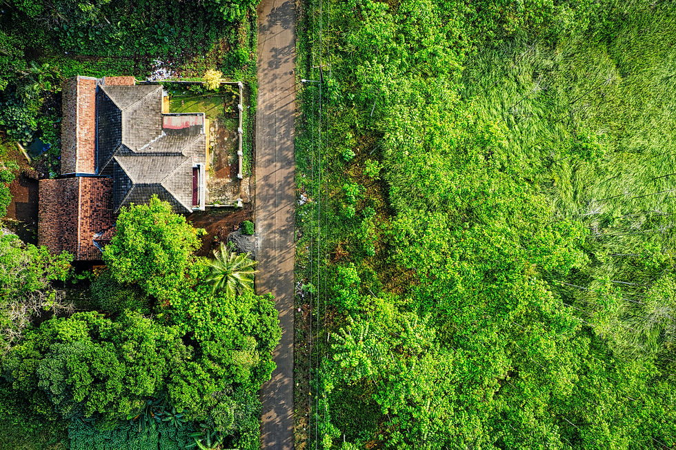 Aerial drone view of rural property surrounded by green trees near Barrie, Ontario — showing lot size and natural setting that standard photography cannot capture