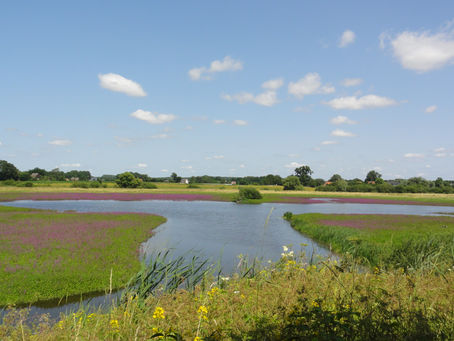 Fahrt für Radler und Naturfreunde nach Lippborg-Heintrop