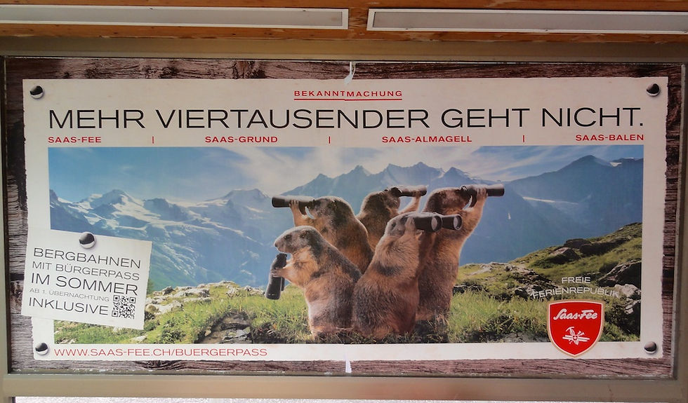 Werbeplakat: Murmeli