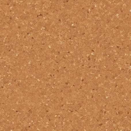 corkboard 