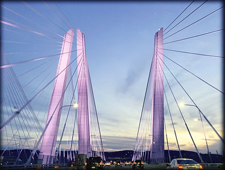 TZ Bridge PINK copy.jpg