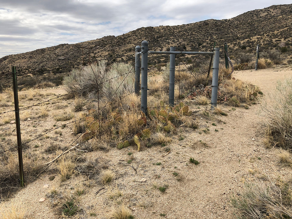 Sandia Foothills in New Mexico