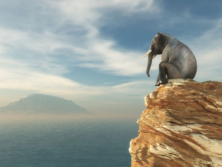 Whatever Shall Become Of Them?