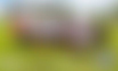 NUEVA VICTORIA PARA GALLITOS, CONTINÚA CON REGULARIDAD LA LIGA DE CAMPEONES - RESUMEN SEMANAL -