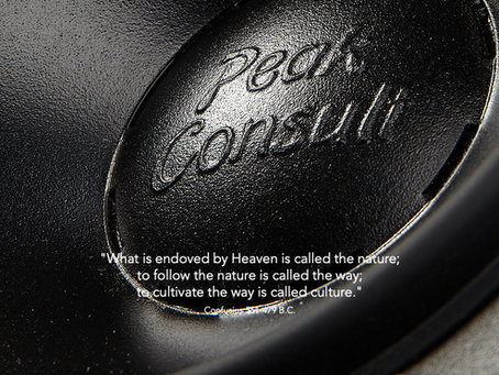 JUIN / JUILLET 2019 - Peak Consult - Serveur Audio