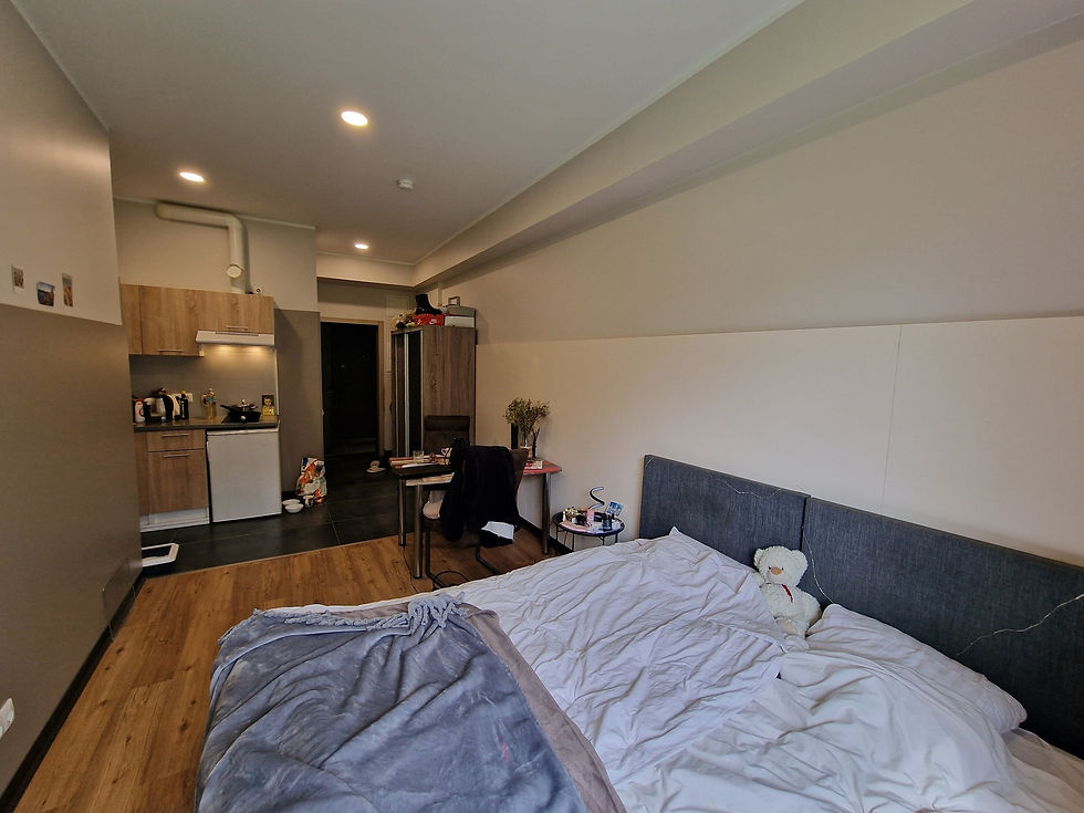 Miniature : Studio - Lot 7 | 24,1 m² | 50 139 € | Lettonie