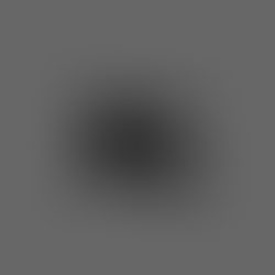 Early Access (Showcase) -> Release