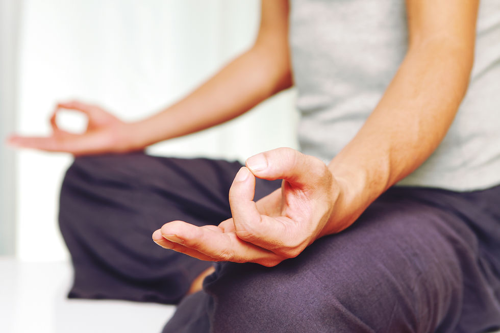 Meditation in Focus