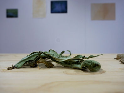 ArtSpring in der KMH