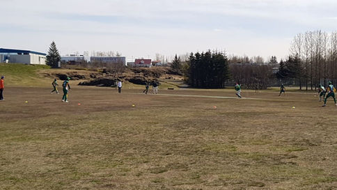 ÍSLENSK PREMIER LEAGUE: WEEK 1