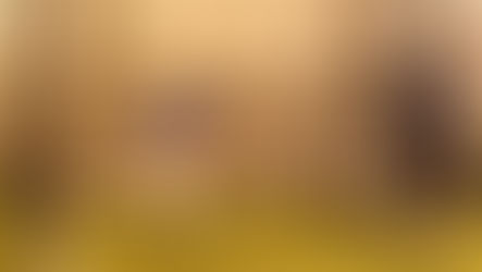 CRICKET NETS ARRIVE IN ICELAND