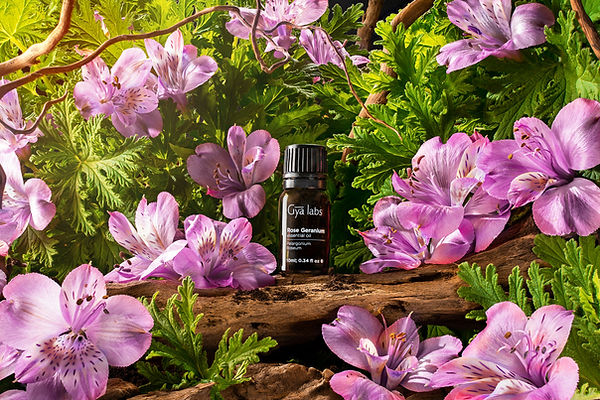 ROSE GERANIUM EO.jpg