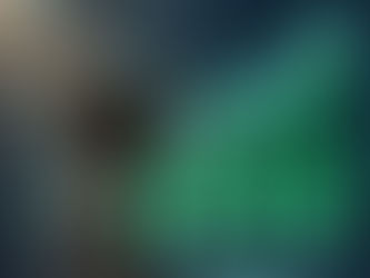 Faut-il passer par une agence pour louer son appartement à Paris ?