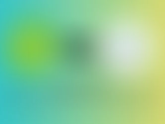 Transition from BambooHR to HumanOS