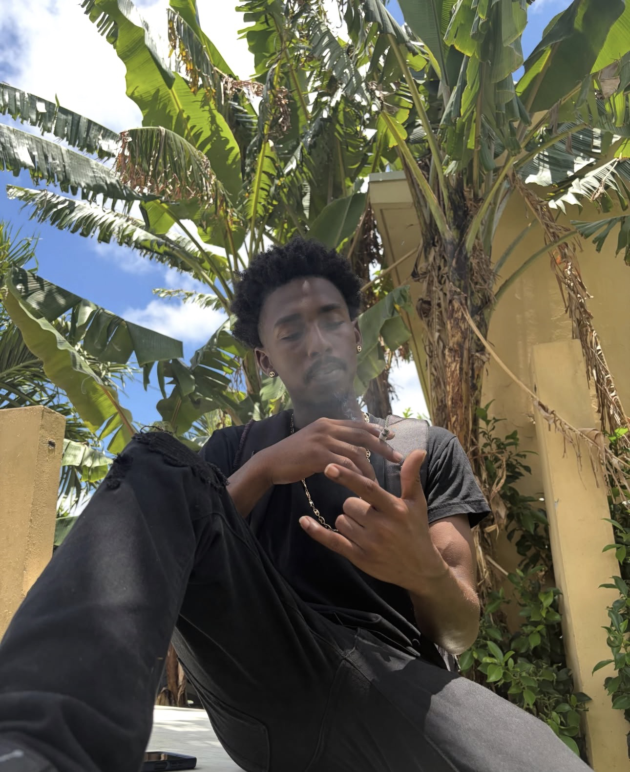 KDOT LMG sentado al aire libre, con vegetación detrás
