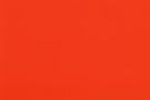 Red Paper For Website.jpg