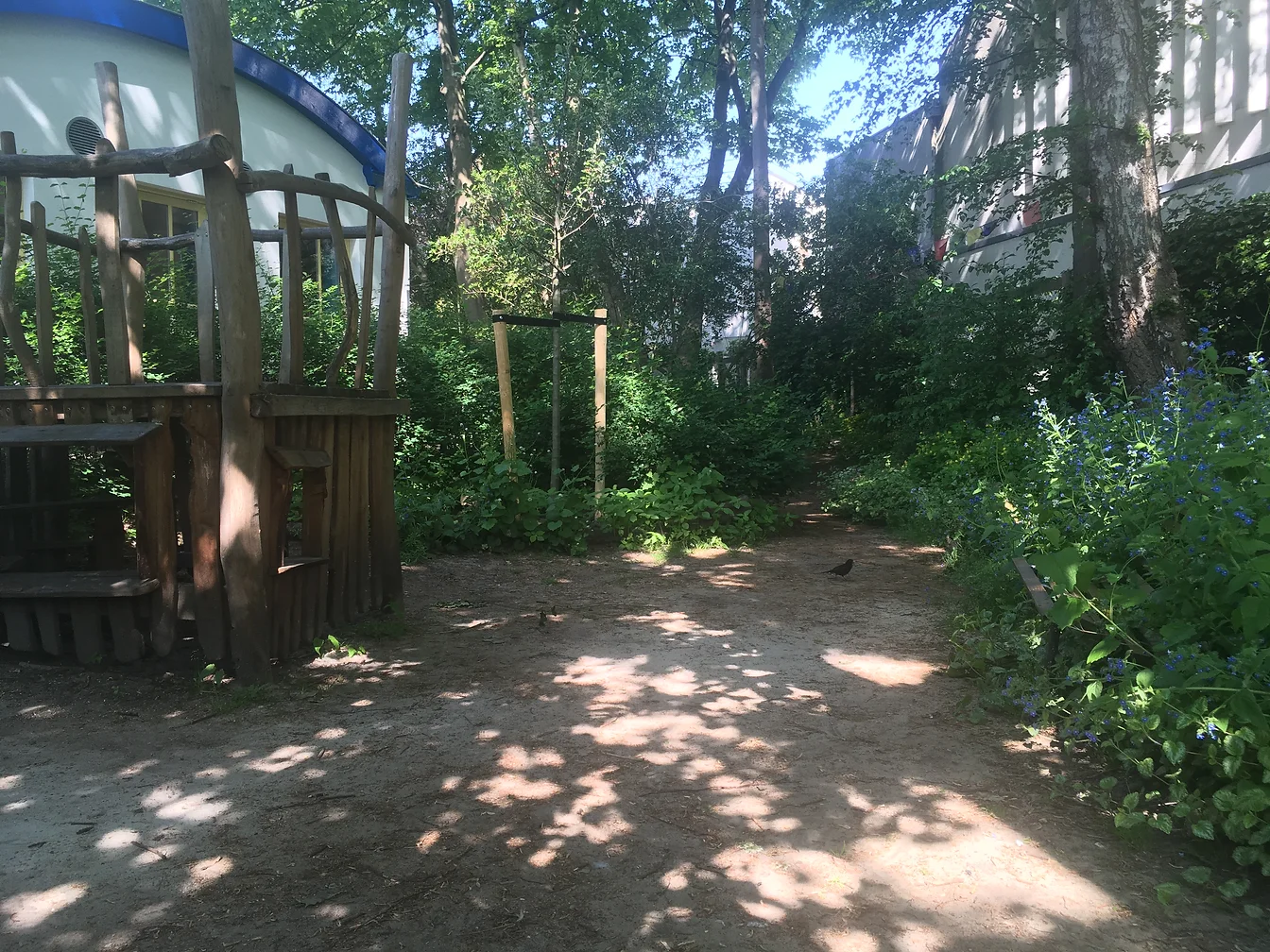 tuin2.webp